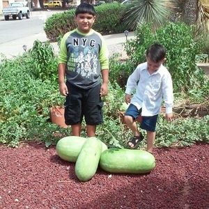 Meet your Posher, Bobby